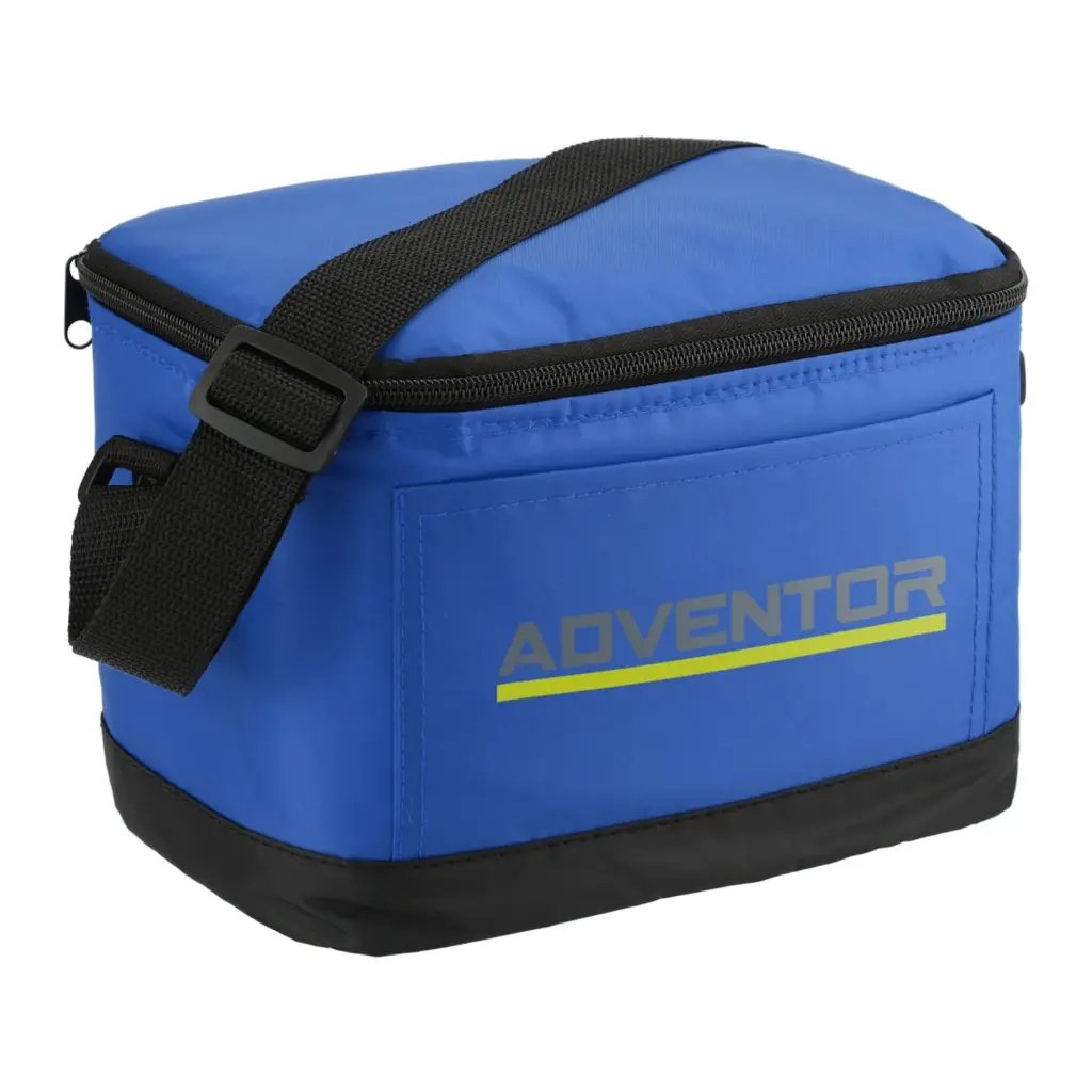 classic insulated 6-can cooler lunch bag